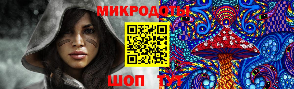 Псилоцибиновые грибы Cubensis Дмитров